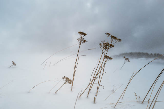 Photo de montagne sous la neige