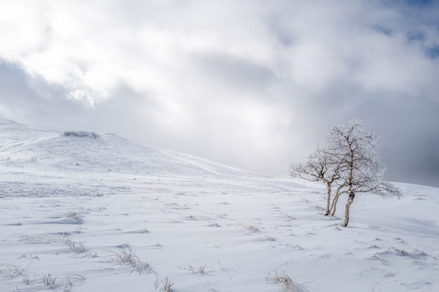 Photo de montagne sous la neige