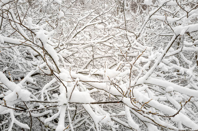 Photo de montagne sous la neige