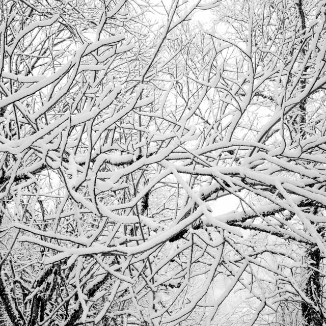 Photo de montagne sous la neige en noir et blanc