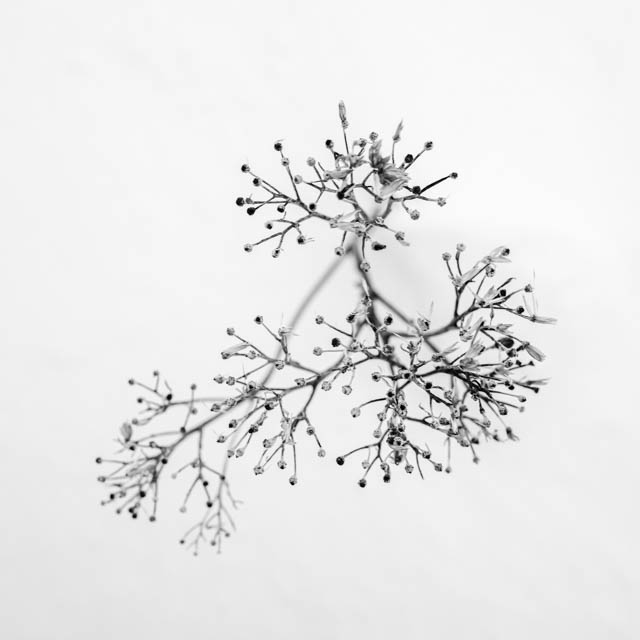 Photo de montagne sous la neige en noir et blanc