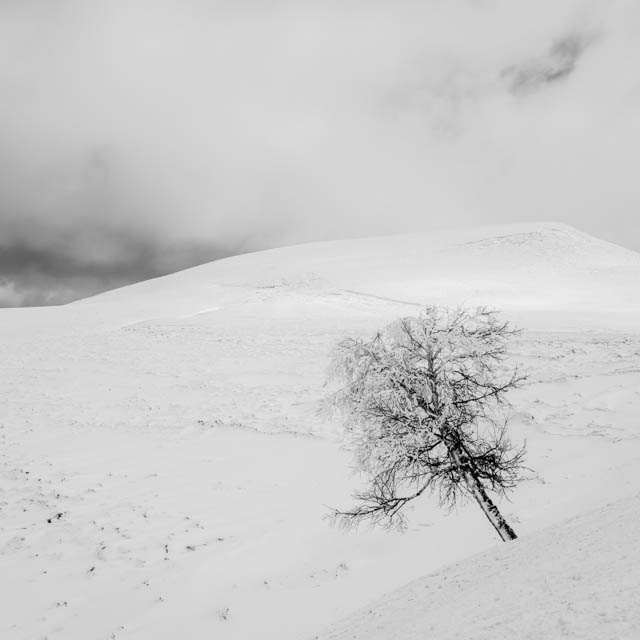 Photo de montagne sous la neige en noir et blanc