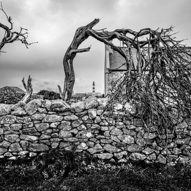 Photo île d'Ouessant noir et blanc