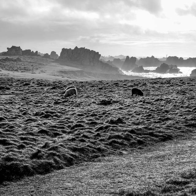 Photo île d'Ouessant noir et blanc
