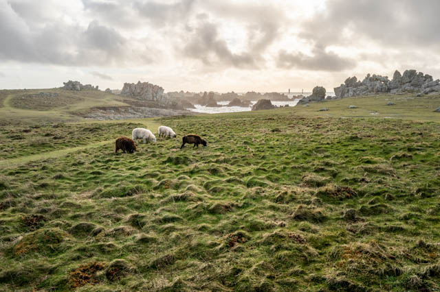 Photo île d'Ouessant