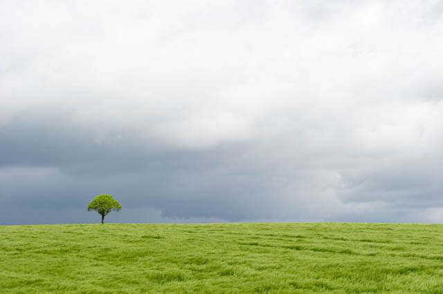 Photo style minimaliste