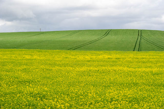 Photo style minimaliste