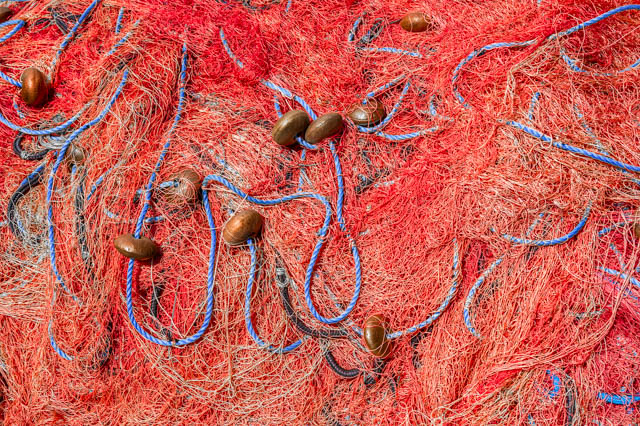 Photographie graphique