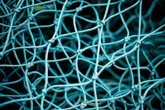 Photographie graphique