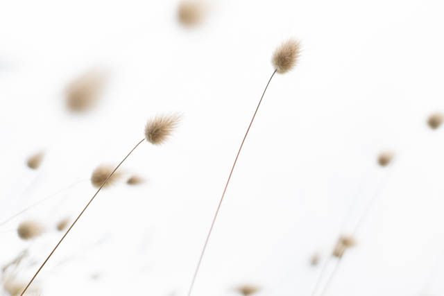 Photographie graphique