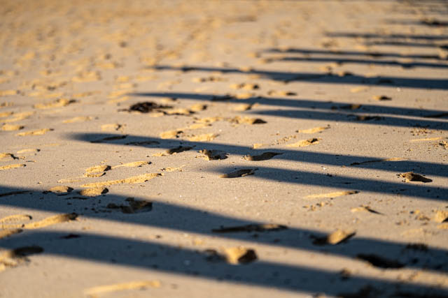 Photographie graphique