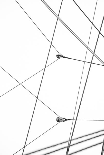 Photographie graphique