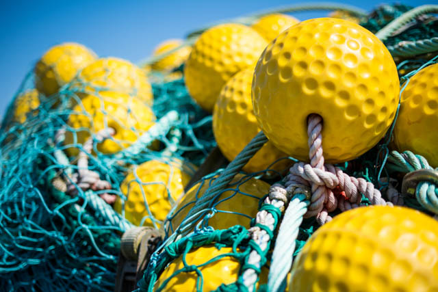 Photographie graphique