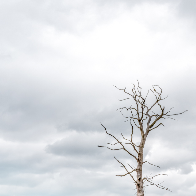 Photographie graphique