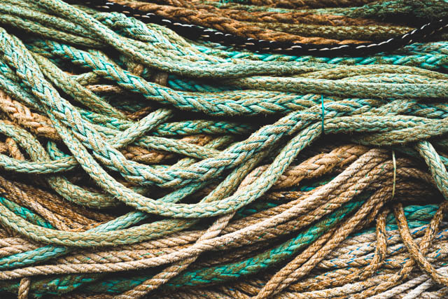 Photographie graphique