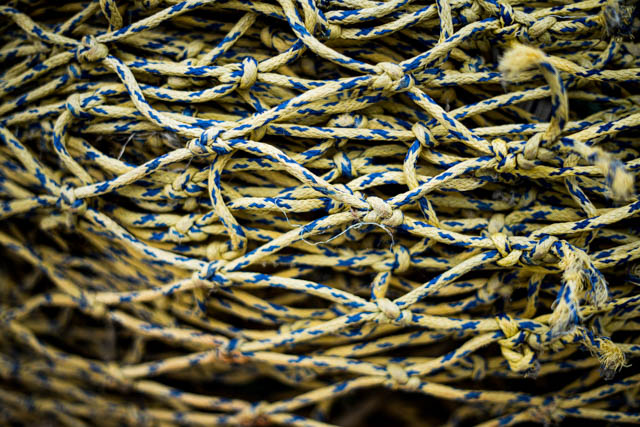 Photographie graphique