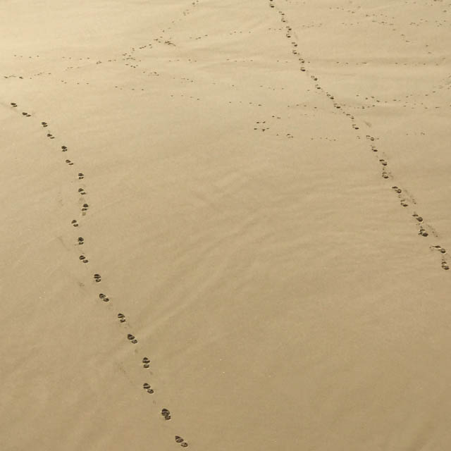 Projet de photos de sable par Lionel DIVAY