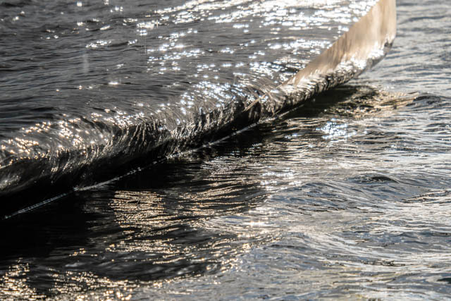 Photo Route du Rhum 2022 à Saint-Malo