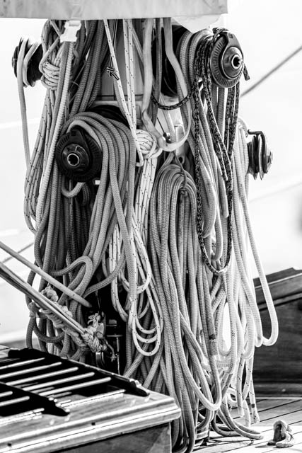 Photo Route du Rhum 2022 à Saint-Malo