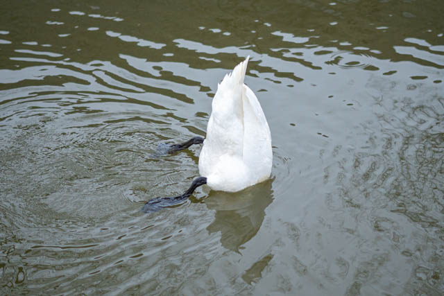 Street photo en couleur